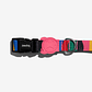 ZeeDog Collar CHROMA - thumbnail 4