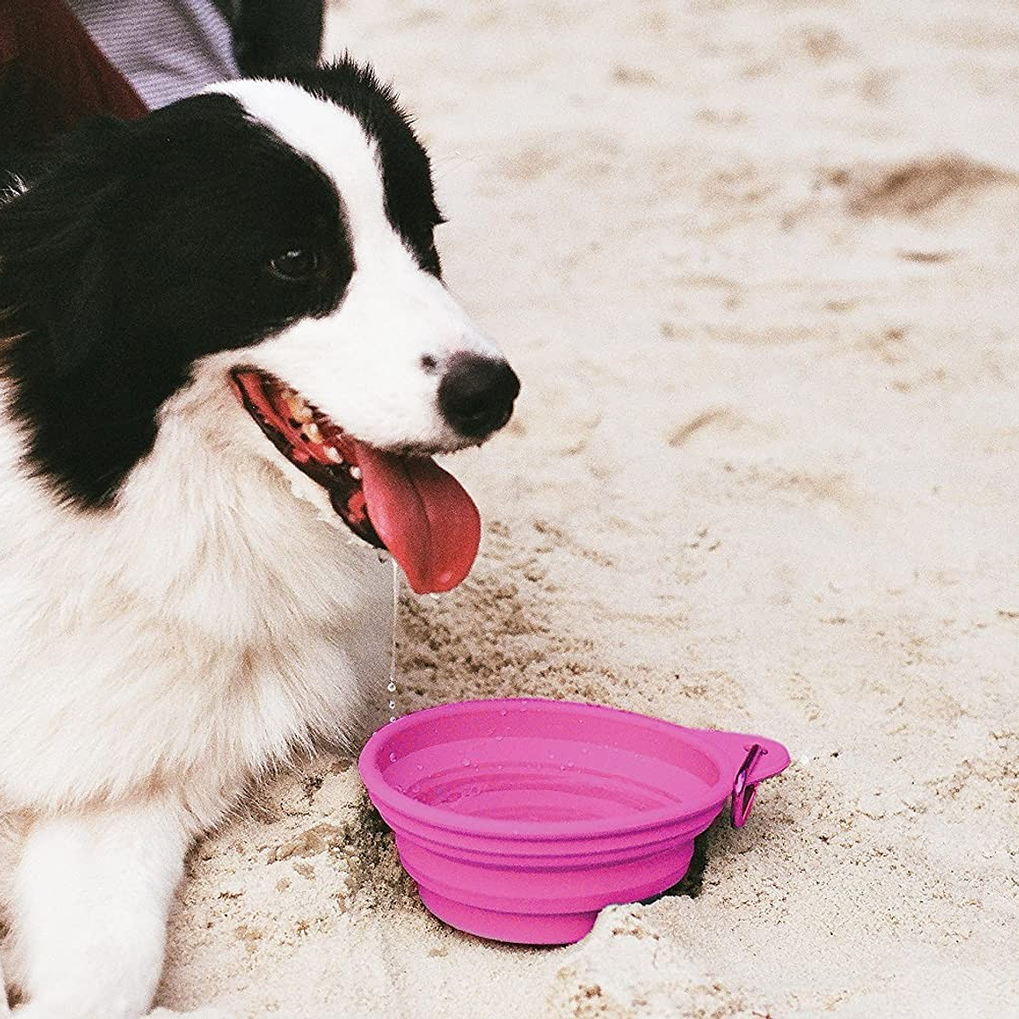 ZeeDog Go Bowl / Small / Pink 3