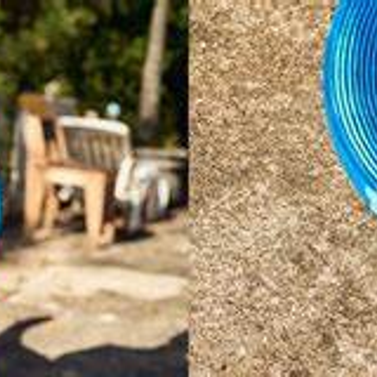 ZeeDog Fresbee Fliying Vinyl / Perros M y L / Blues 4