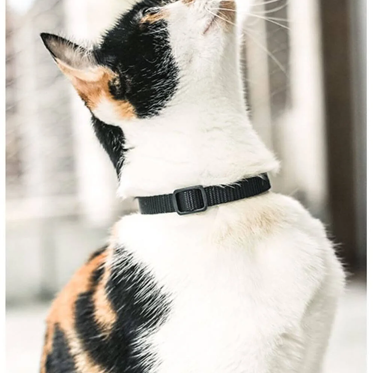 ZeeCat Collar GOTHAM Talla Unica 3
