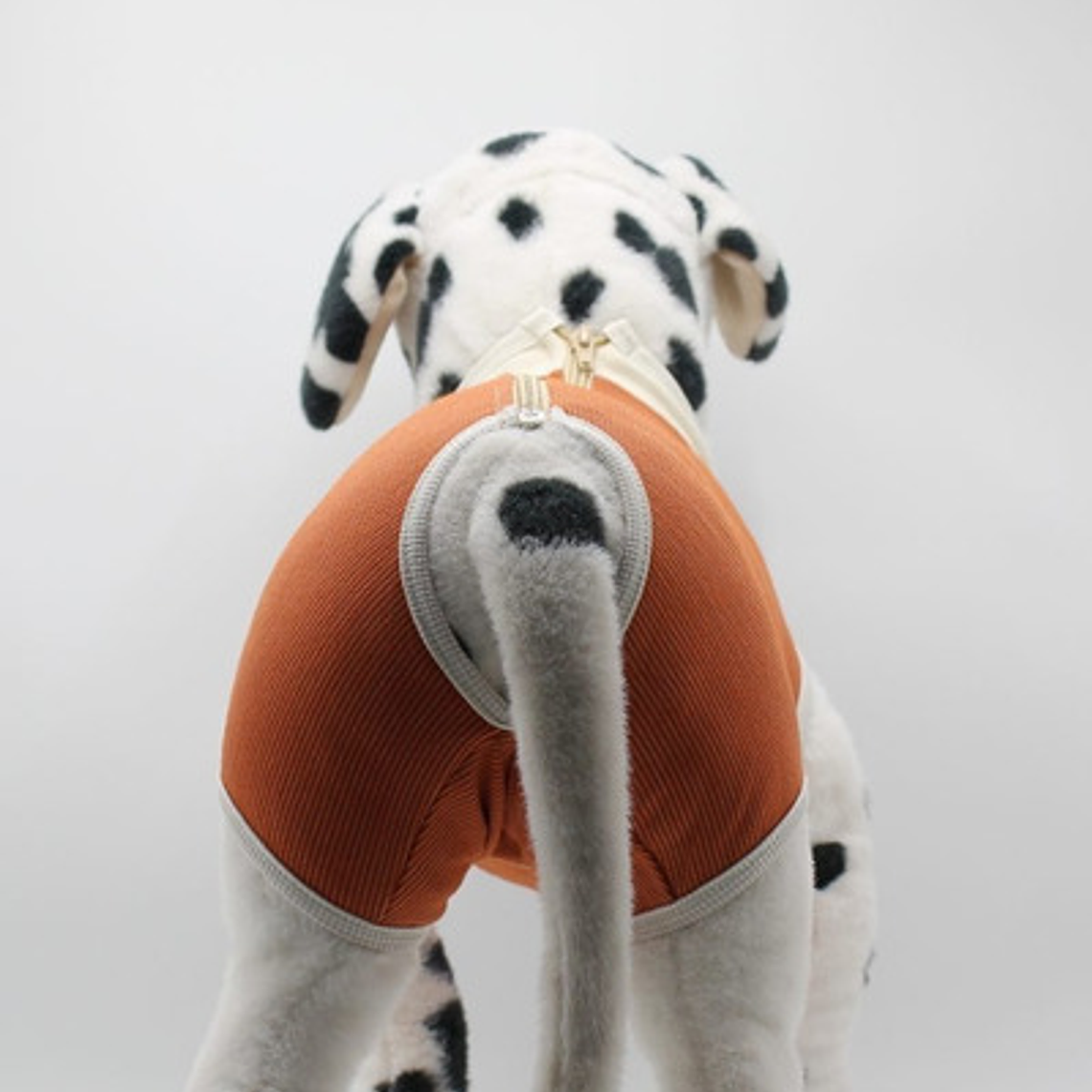 Kimba Pets Body Cobre Castración Salud y Bienestar 2