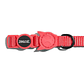 ZeeCat Collar NEON CORAL Talla Unica - thumbnail 2