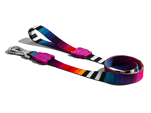 ZeeDog Leash PRISMA