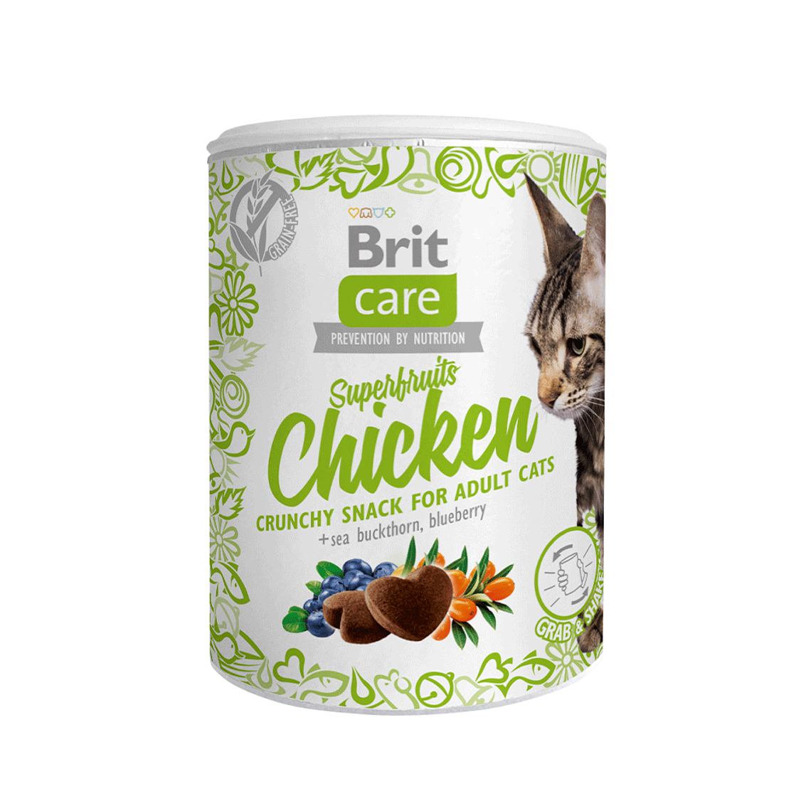 BRIT CARE CAT SNACK SUPERFRUITS CHICKEN 100G 1