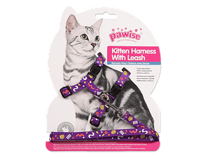 PAWISE Arnés + Correa para Gatos Talla Única Diseño morado