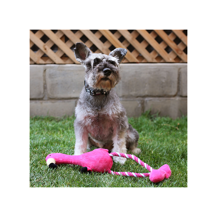 BRNX JUGUETE PLUSH CUERDA FLAMENCO XL 2