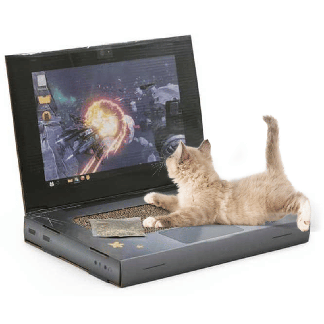 HEY JUGUETE COMPUTADOR PORTATIL PARA GATOS 1