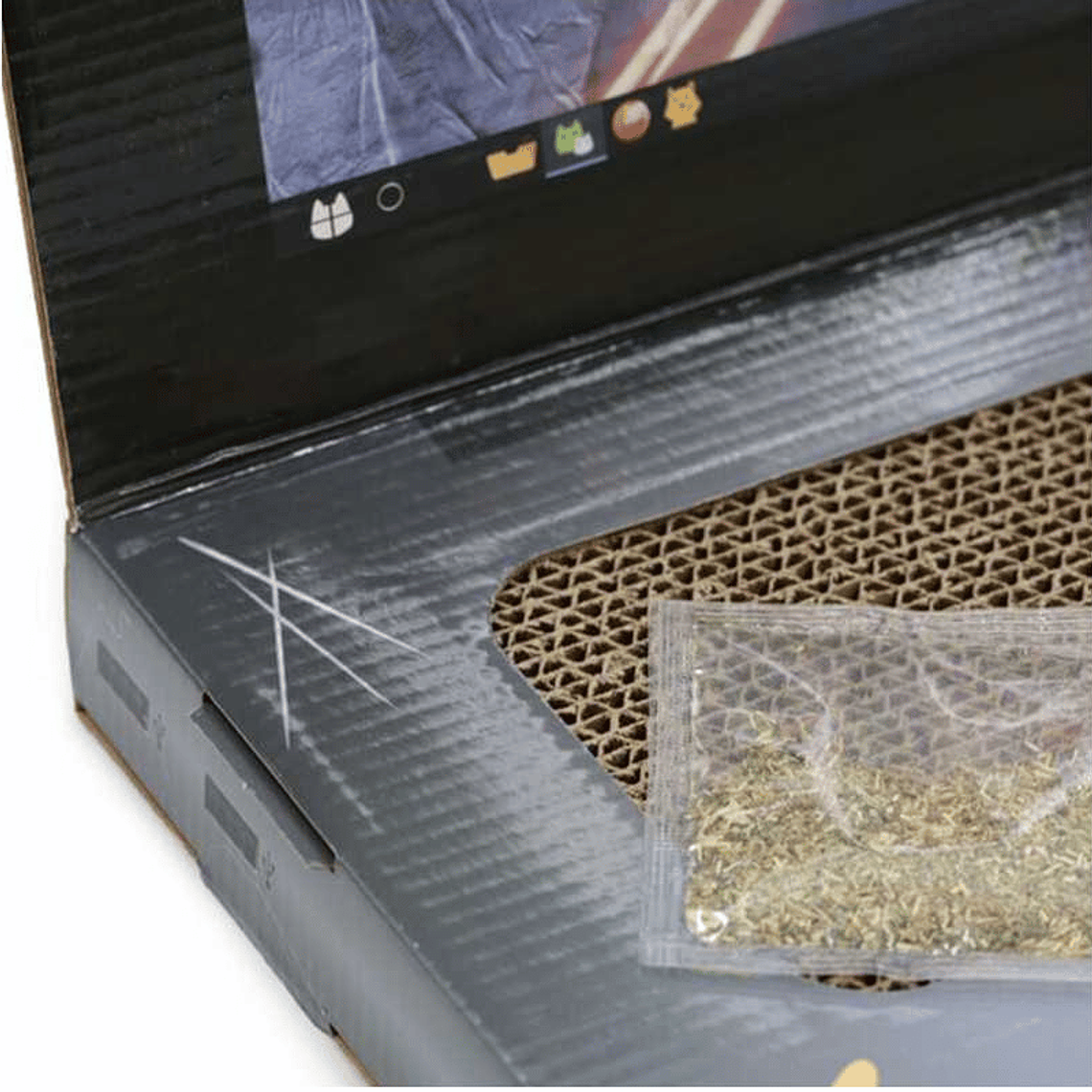 HEY JUGUETE COMPUTADOR PORTATIL PARA GATOS 5