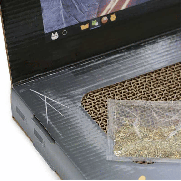 HEY JUGUETE COMPUTADOR PORTATIL PARA GATOS 5