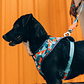 ZEEDOG ELLA AIR MESH HARNESS MEDIUM - thumbnail 3