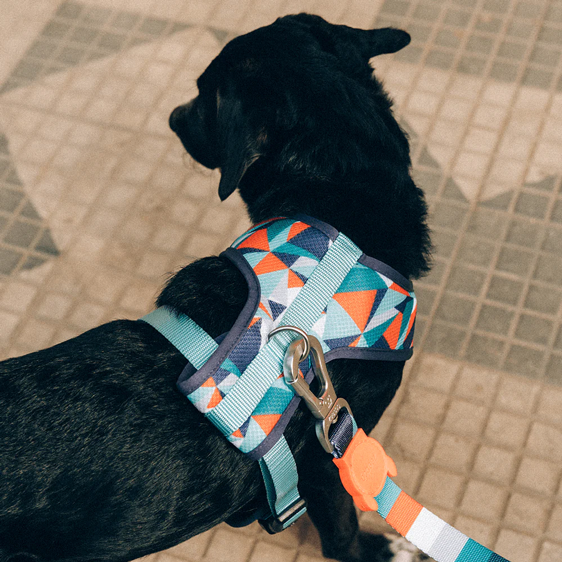 ZEEDOG ELLA AIR MESH HARNESS MEDIUM 4