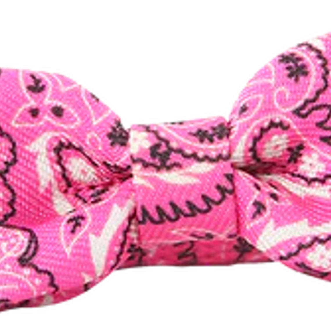 Pawise Collar Humita Collar para Gatos 1