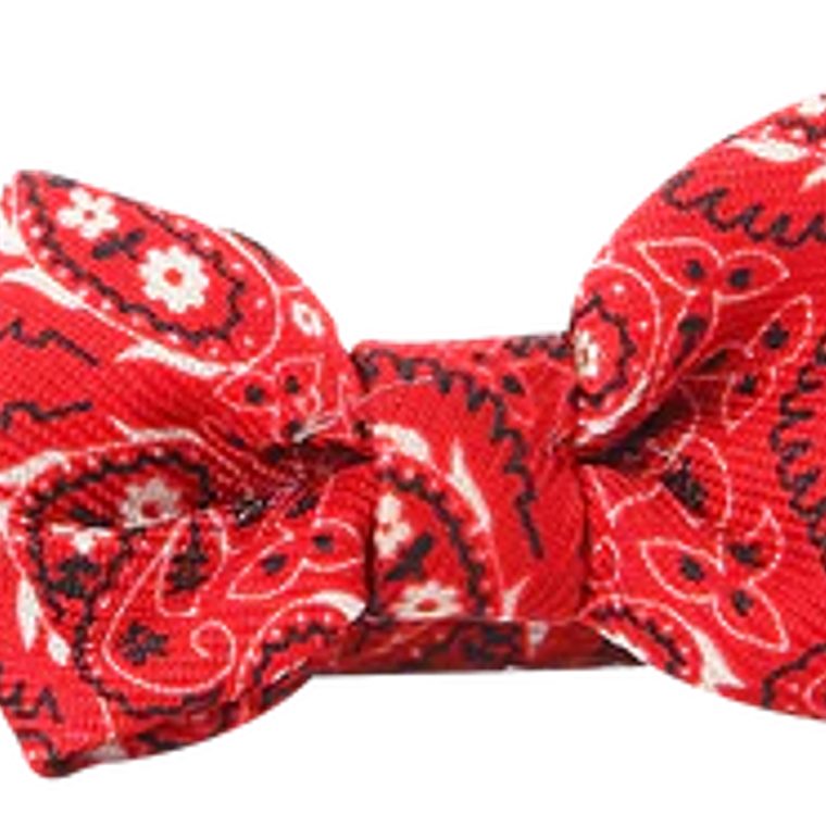 Pawise Collar Humita Collar para Gatos 2