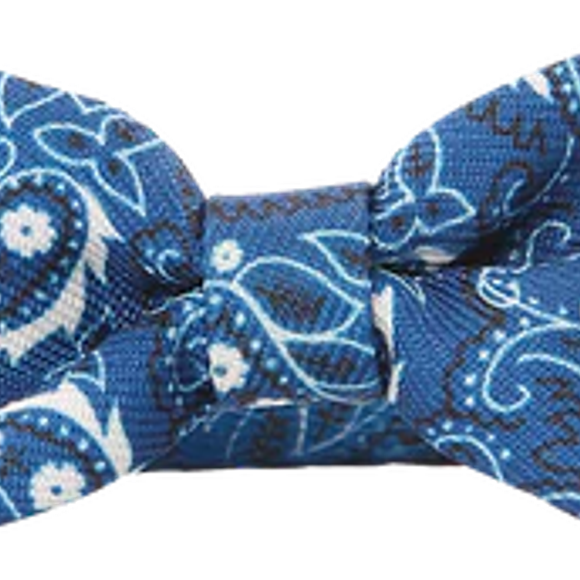 Pawise Collar Humita Collar para Gatos 3