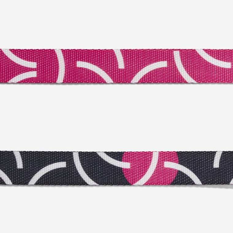 ZEEDOG Correa Nara Large 4