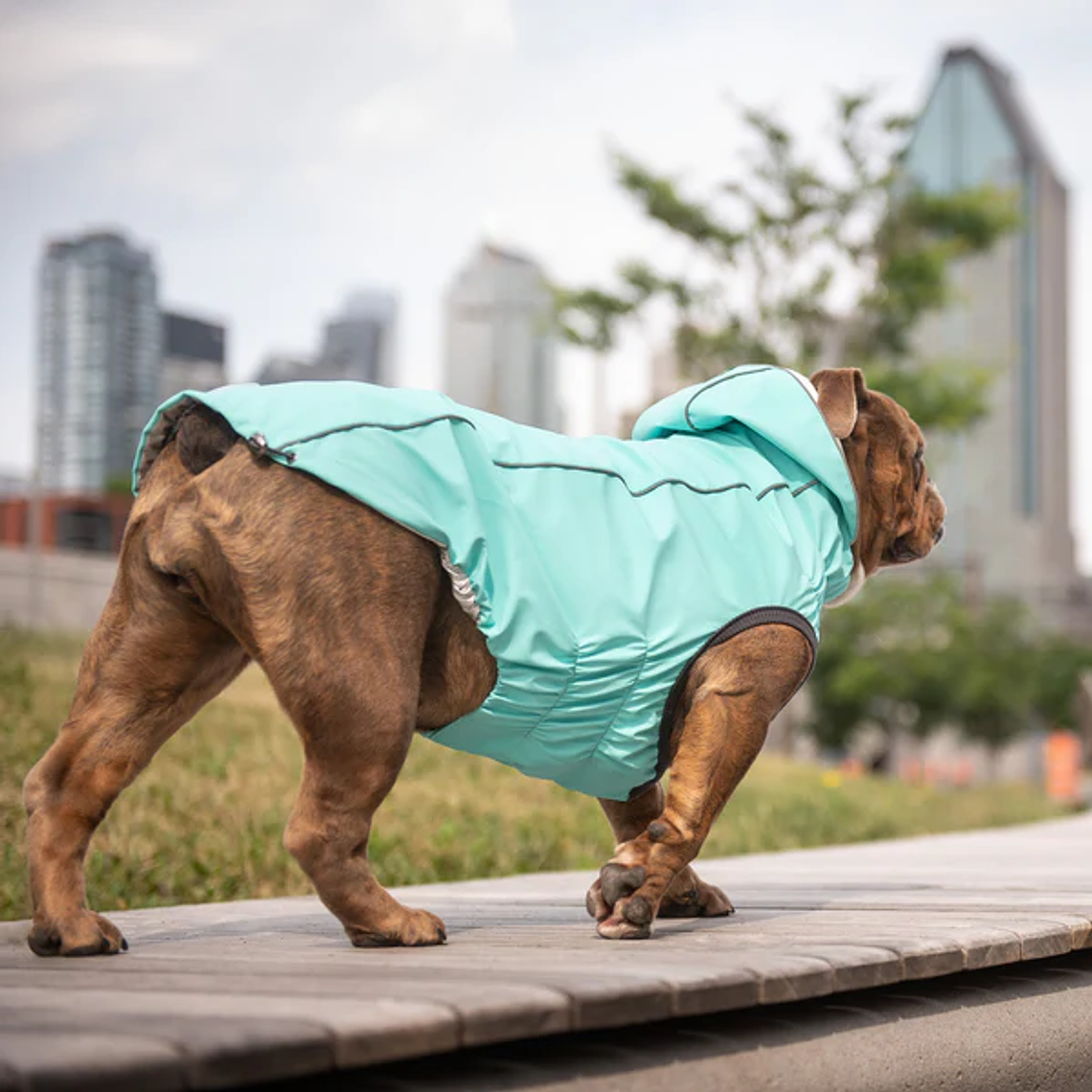GF PET IMPERMEABLE REVERSIBLE NEON AQUA L 4