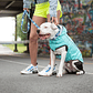 GF PET IMPERMEABLE REVERSIBLE NEON AQUA L - thumbnail 7
