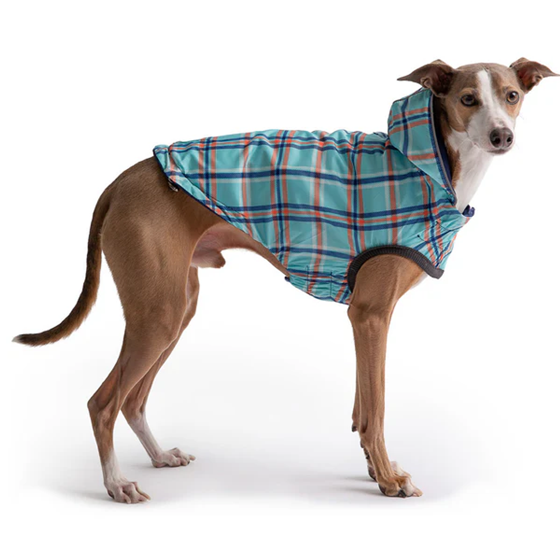 GFPET IMPERMEABLE REVERSIBLE AZUL 2XL 4