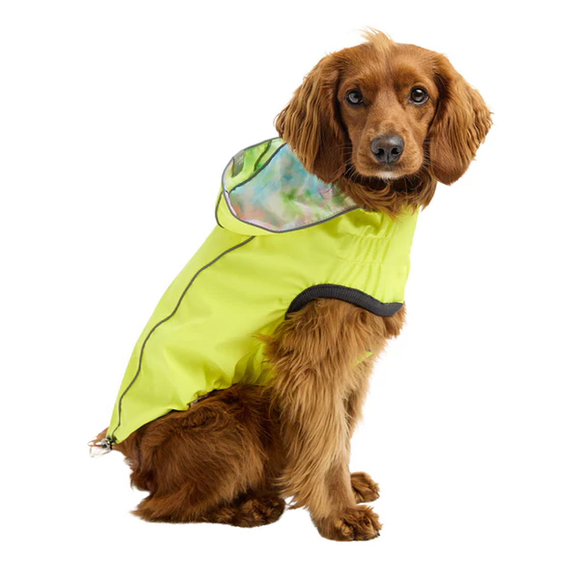 GFPET IMPERMEABLE REVERSIBLE NEON YELLOW L 2