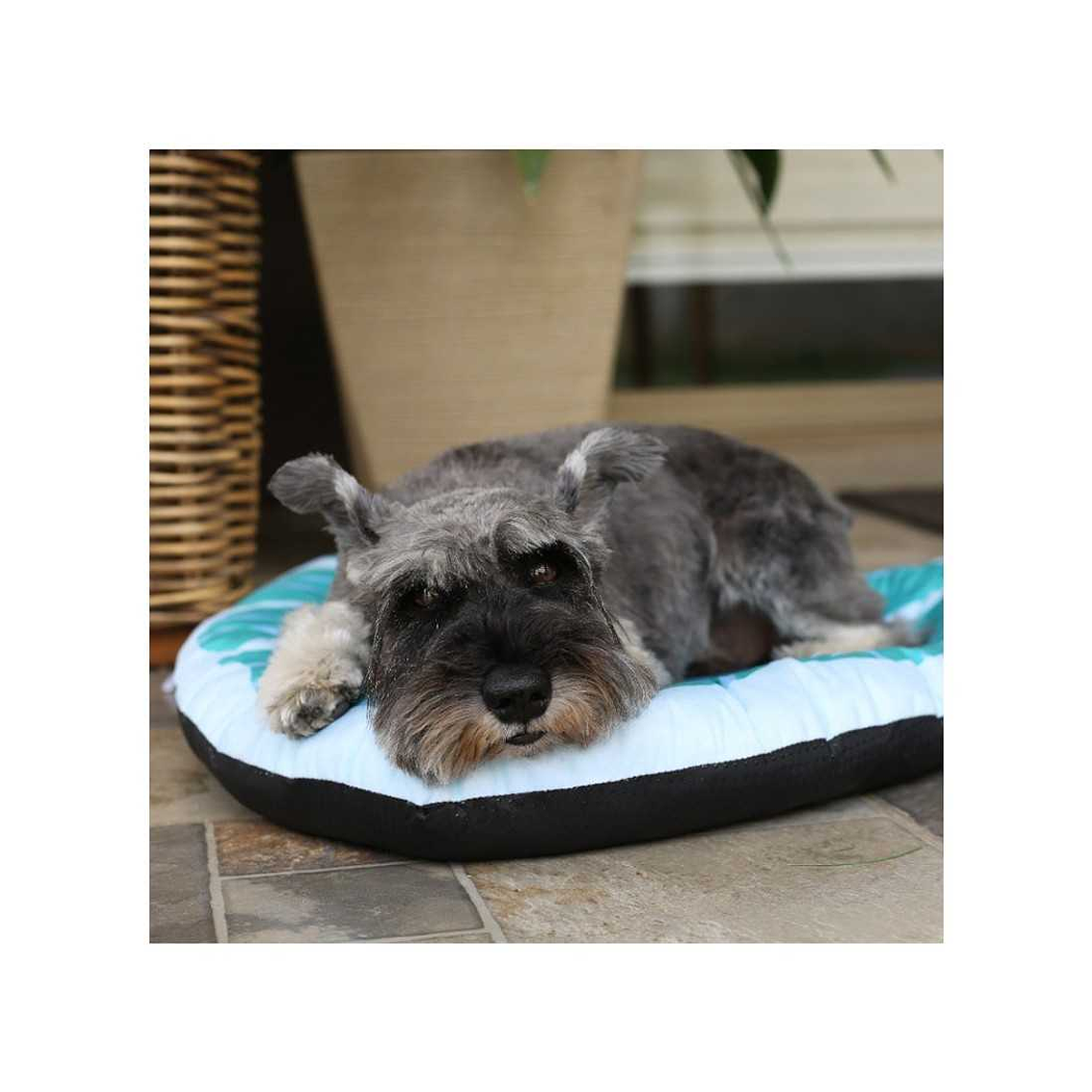 BRNX CAMA FORMA DE HOJA TALLA M 4