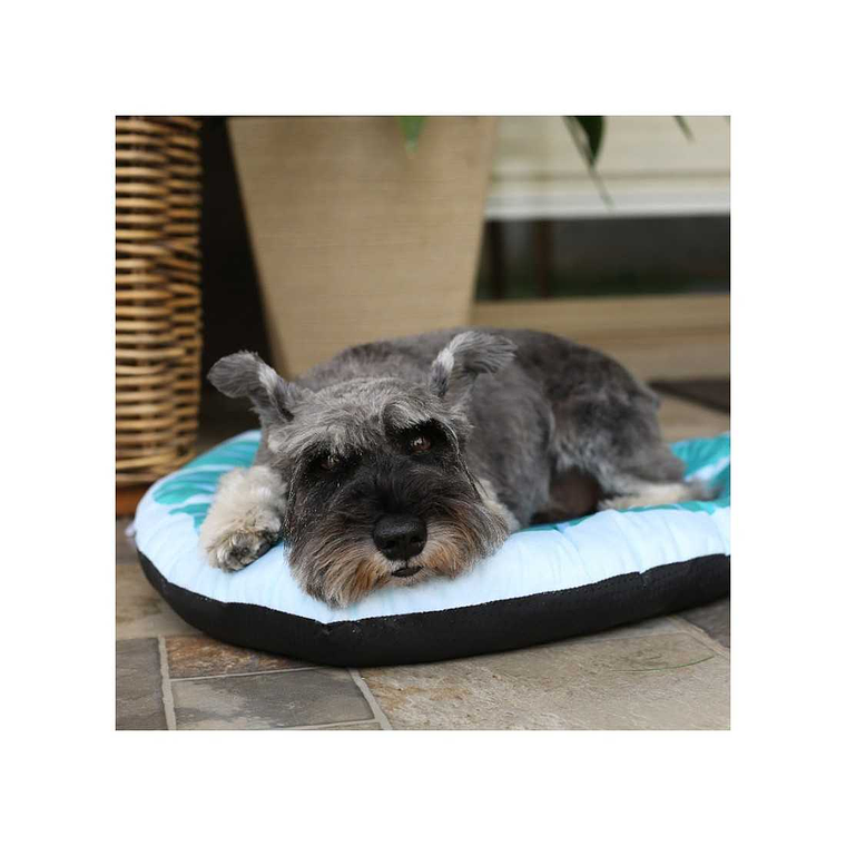 BRNX CAMA FORMA DE HOJA TALLA M 4