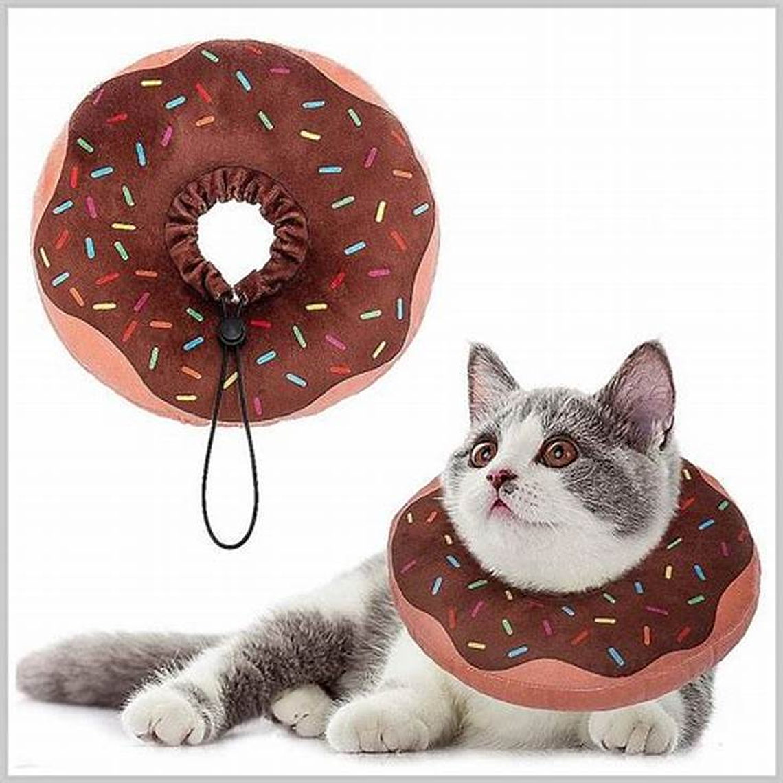 COLLAR PROTECCION ANTI LAMIDO DONUT 2