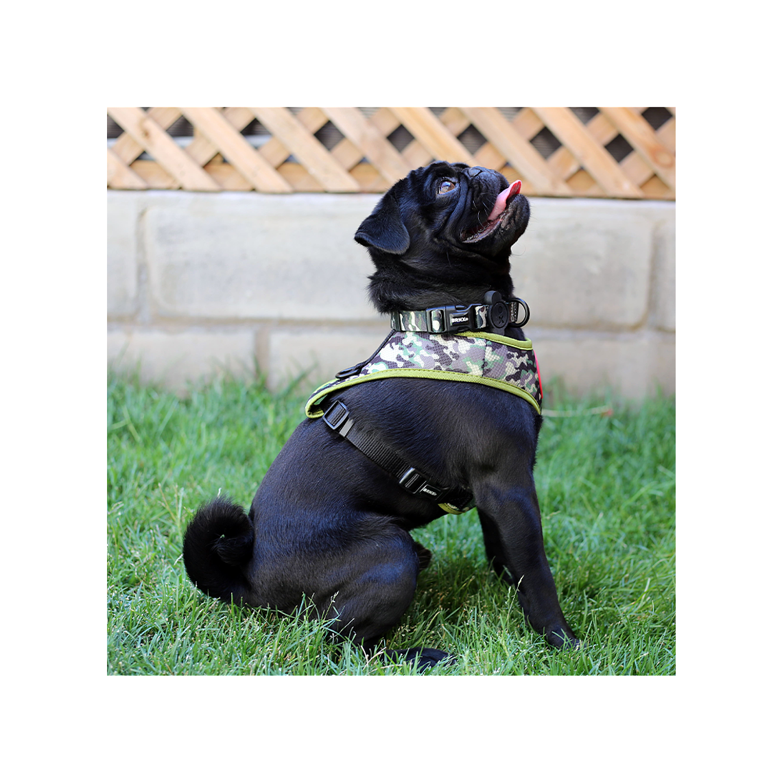 BRNX ARNES DE MALLA CAMUFLAJE TALLA S 2