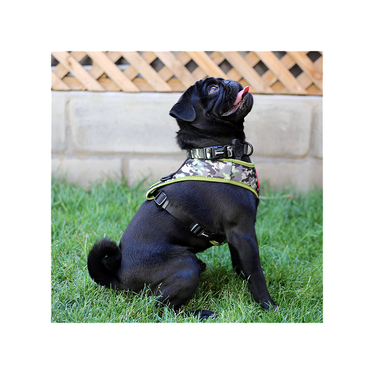 BRNX ARNES DE MALLA CAMUFLAJE TALLA S 2