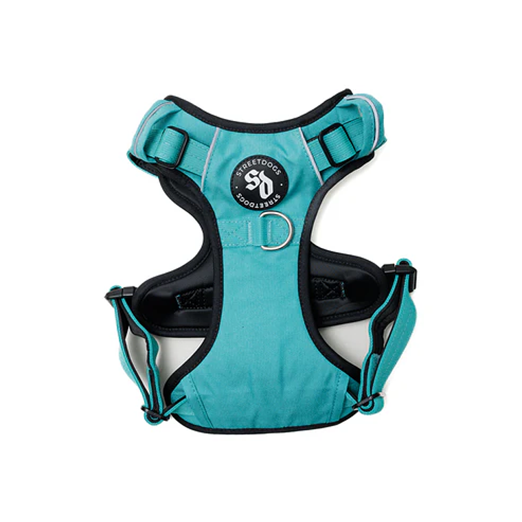 STREET DOGS - Arnés Comfort para Perros - Street Dogs - Turquoise 1