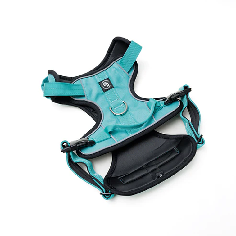 STREET DOGS - Arnés Comfort para Perros - Street Dogs - Turquoise 2