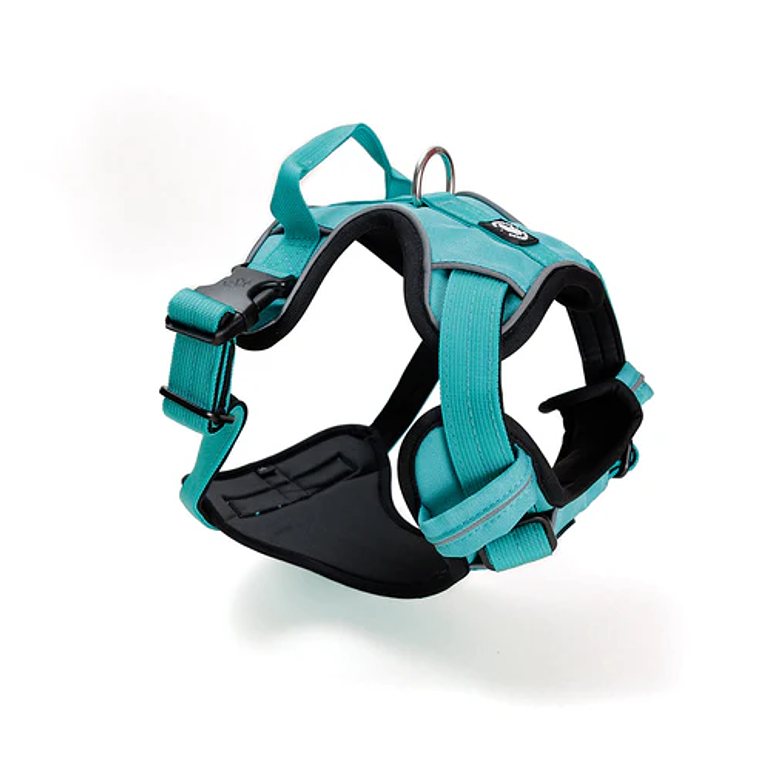 STREET DOGS - Arnés Comfort para Perros - Street Dogs - Turquoise 4