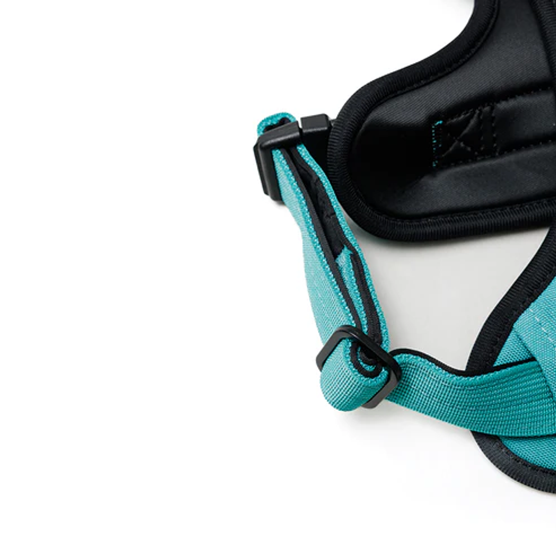 STREET DOGS - Arnés Comfort para Perros - Street Dogs - Turquoise 5