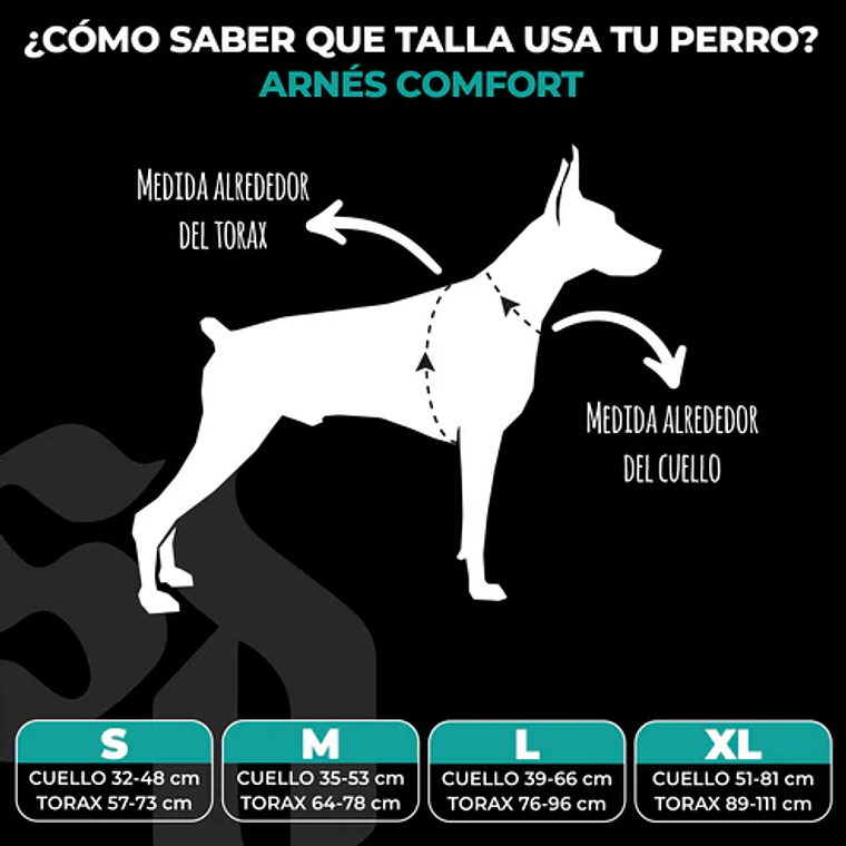 STREET DOGS - Arnés Comfort para Perros - Street Dogs - Turquoise 7