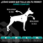 STREET DOGS - Arnés Comfort para Perros - Street Dogs - Turquoise - thumbnail 7