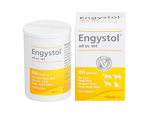   ENGYSTOL 100 TABLETAS