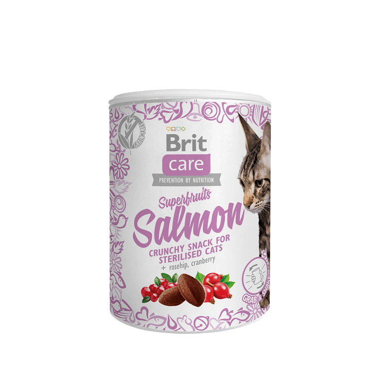 BRIT CARE CAT SNACK SUPERFRUITS SALMON 1
