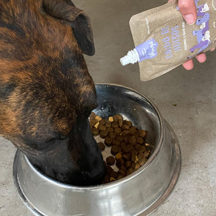 WINGA CALDO DE HUESOS 250ML  3