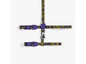 ZEECAT LOZT ZMILEY HARNESS + LEASH SET