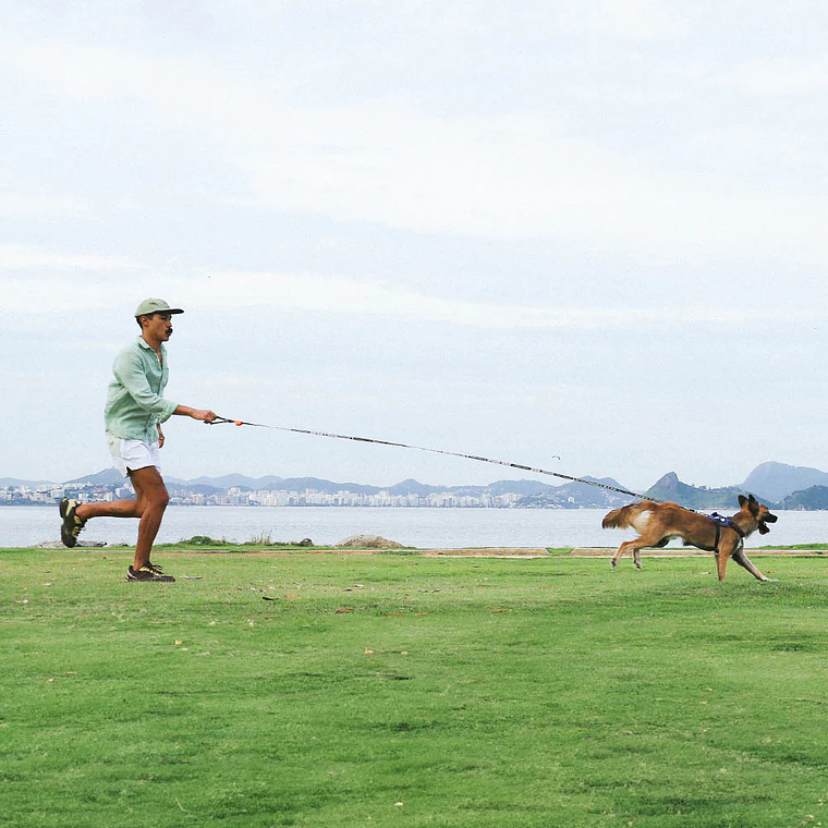 ZEEDOG LONG LEASH CMYK 5