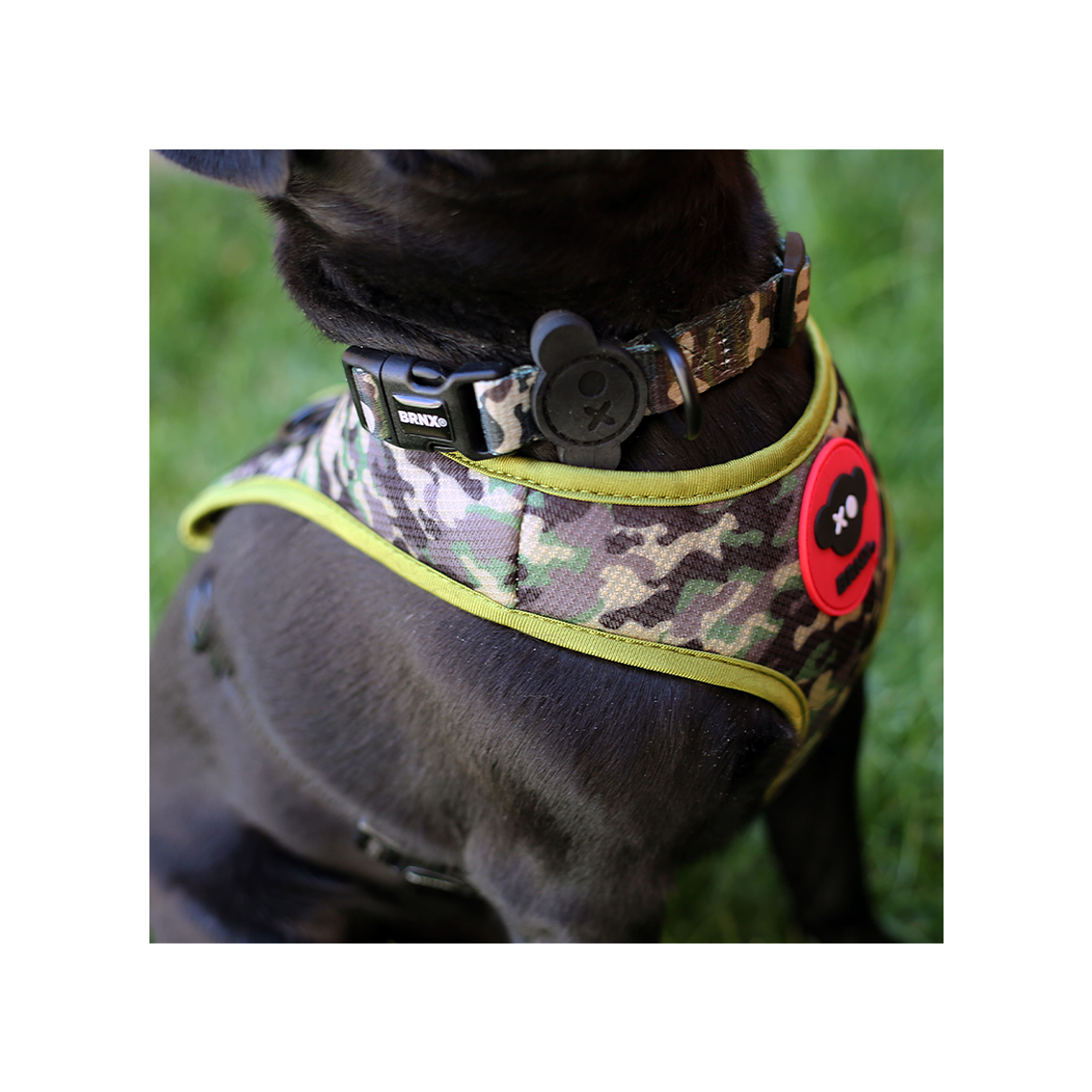 BRNX COLLAR S CAMUFLAJE 3