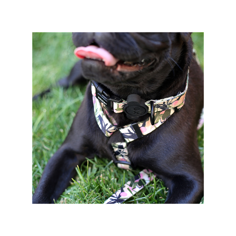 BRNX COLLAR L FOREST PINK 4