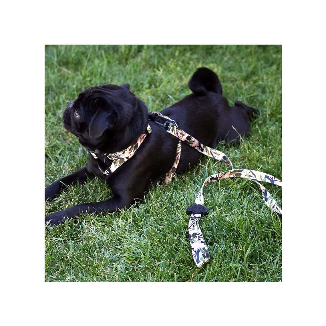 Correa para perro Brnx 120 cm (Forest Pink) 4