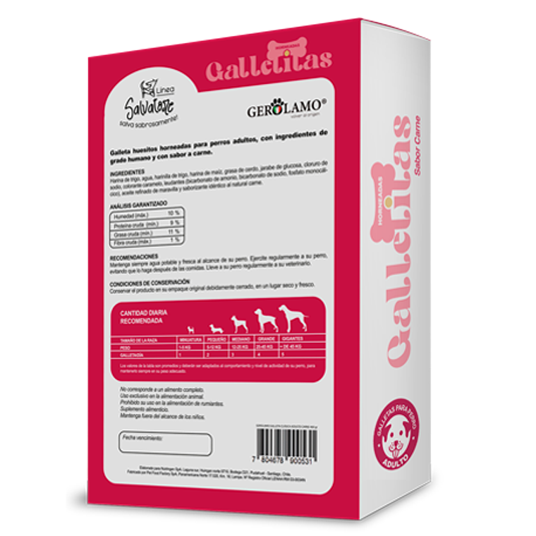 Gerolamo Salvatore Galleta Adulto Carne 2