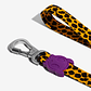 ZEEDOG HONEY LEASH L - thumbnail 4