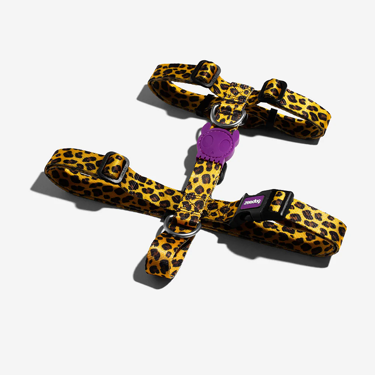 ZEEDOG HONEY H-HARNESS  3