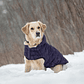 GF PET PARKA CLOUD PURPURA XL - thumbnail 4