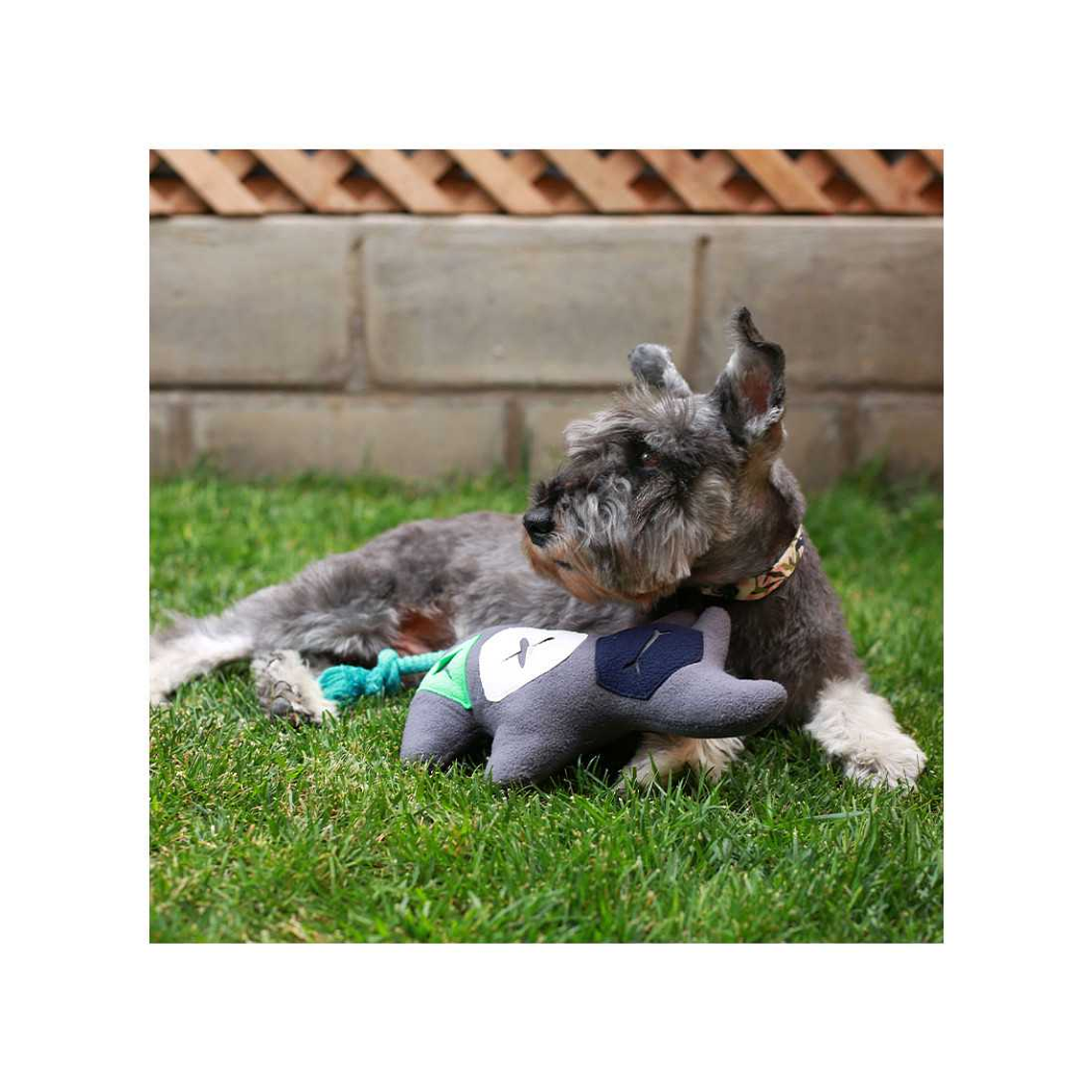 BRNX JUGUETE PLUSH IQ RINOCERONTE COGNITIVO  2