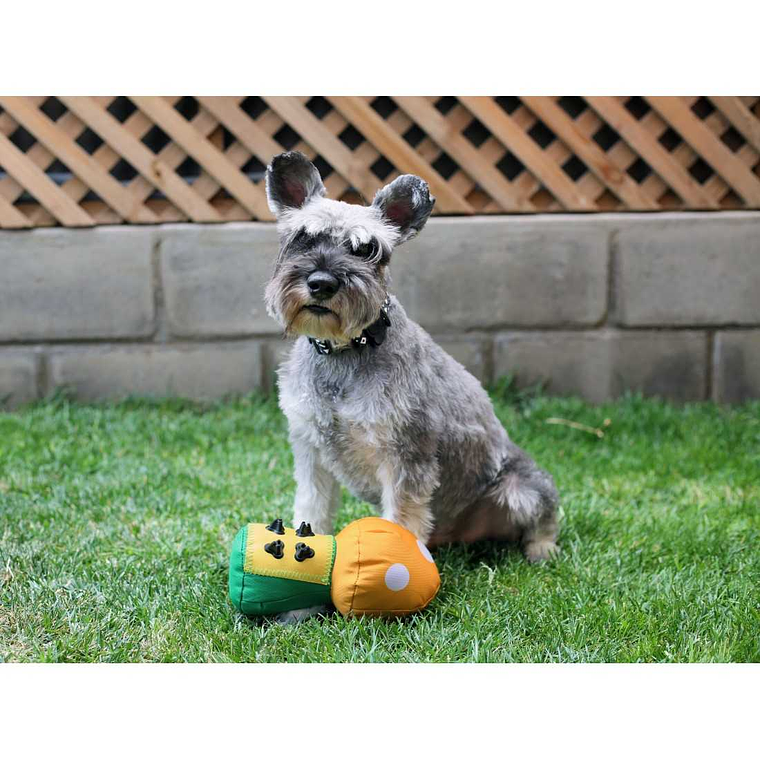 BRNX JUGUETE HONGO TEXTIL REPELENTE AL AGUA 2