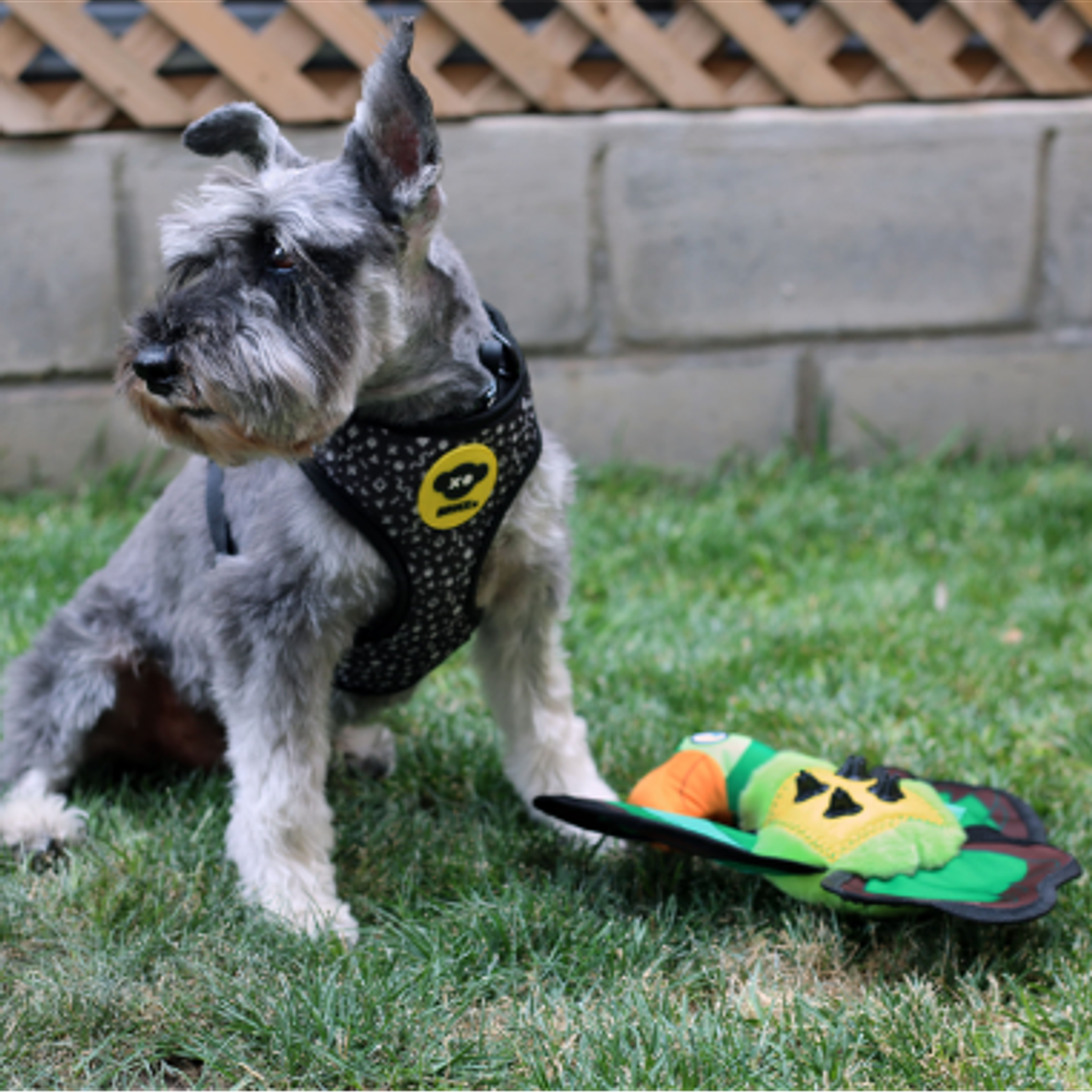 BRNX JUGUETE LORO TEXTIL REPELENTE AL AGUA 2