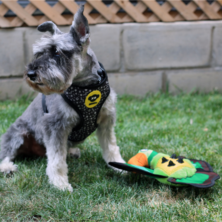 BRNX JUGUETE LORO TEXTIL REPELENTE AL AGUA 2